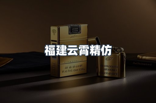福建云霄精仿